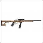 Ju***FPA Closeout Sale!! **NEW** Savage Arms 64 Precision .22LR 20+1 FDE Synthetic, Chassis Pistol Grip Stock IS**NEW** (LIFETIME WARRANTY AVAILABLE & FREE LAYAWAY AVAILABLE) **NEW**