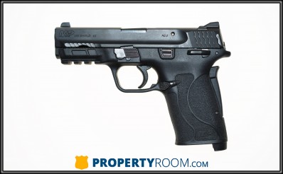 Smith & Wesson M&P 380 SHIELD EZ 380 ACP