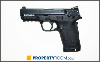 Smith & Wesson M&P 380 SHIELD EZ 380 ACP