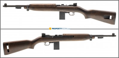 CHIAPPA M1-22 22 LR