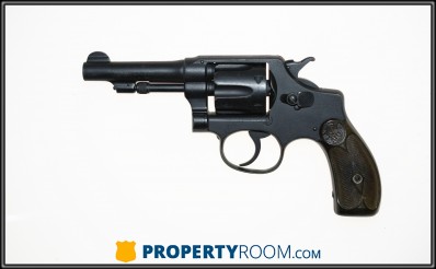 Smith & Wesson NML 22 LR