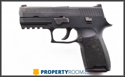 SIG SAUER  P250 45 ACP