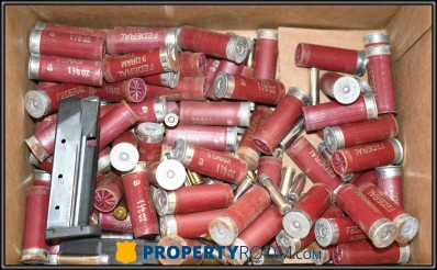 ASSORTED AMMO AND MAGS (~1.1 LBS)