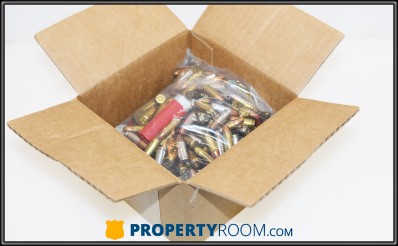 ASSORTED AMMO (~9.5 LBS)