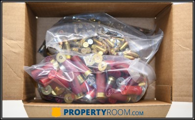 ASSORTED AMMO (~21.5 LBS)