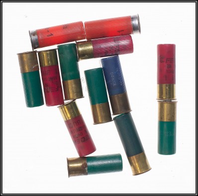 ASSORTED 12 GA AMMO