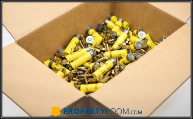 ASSORTED AMMO (~20.5 LBS)