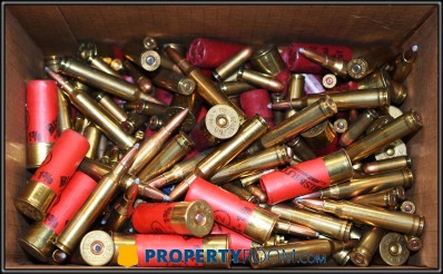 ASSORTED AMMO (~15.5 LBS)